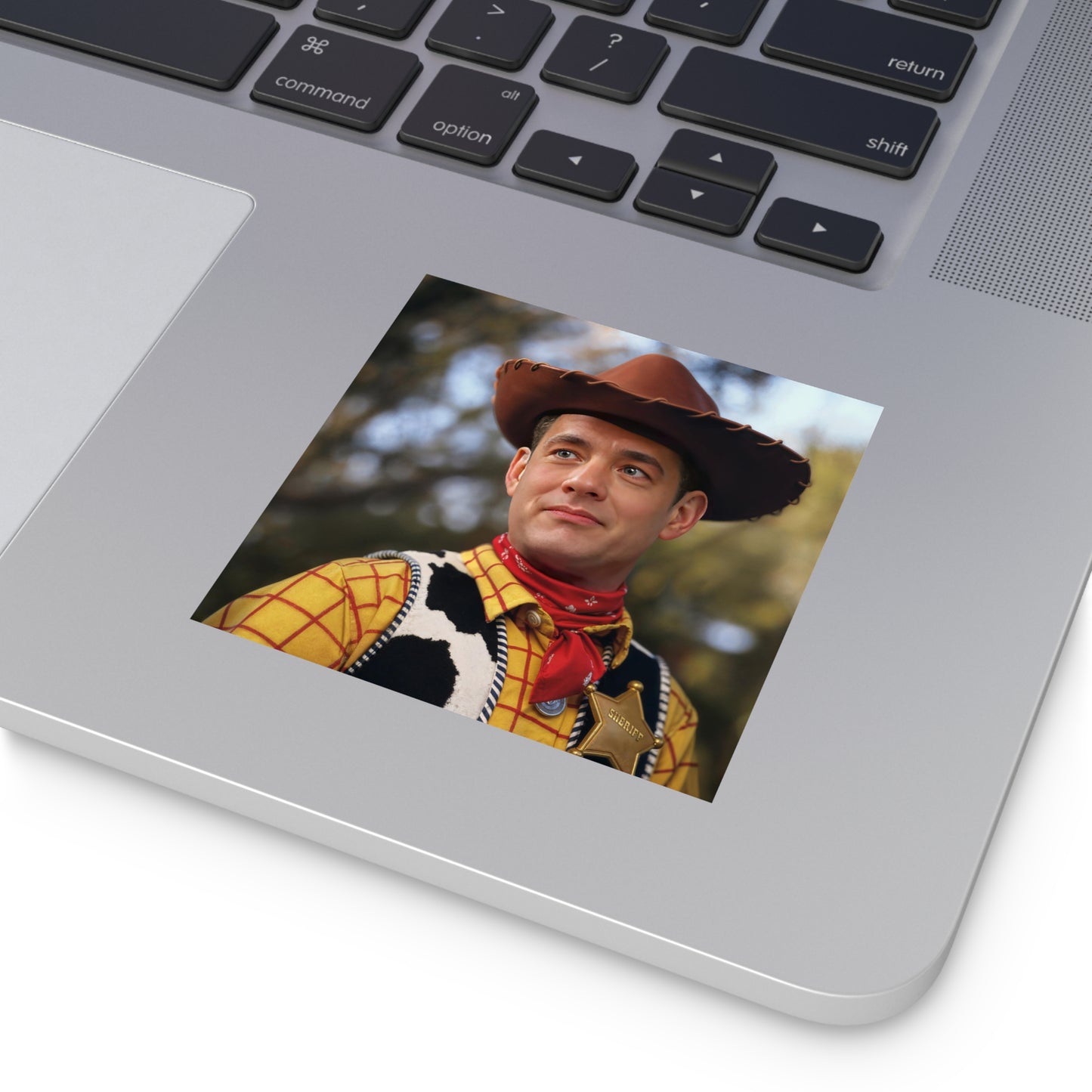 You've Got a Friend in Me Sticker